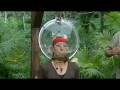 I'm a celeb- Martina's final trial [High Quality]