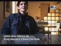Luna - Dean Wareham interview