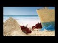\"King Crab\" snippet - Budweiser ad for Super Bowl XLI