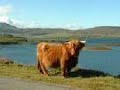 The Gael or Last Of The Mohicans