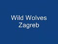 WIld Wolves Zagreb at Cibona Zagreb - Dubrava Zagreb
