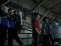 WIld Wolves Zagreb at Cibona Zagreb - Dubrava Zagreb