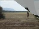Imagine Perfection - Lake Manyara Tanzania