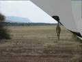 Imagine Perfection - Lake Manyara Tanzania