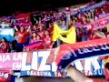 rojillos animando