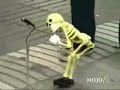 rocky skeloton rocky skeloton