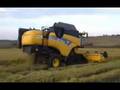 New Holland CX 840 is Harvesting the Rice  �eltik Hasat�