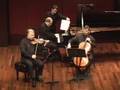 Polygon Trio plays Mozart