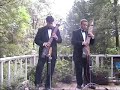 Chapman Stick - Heartstrings - Pachelbel\