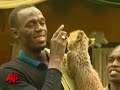 The world's fastest man adopted the animal kingdom's fastest sprinter Monday, as Usain Bolt welcomed a new baby cheetah named 'Lightning Bolt' into his life. (Nov. 2) ... 