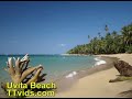 Costa Rica Travel
