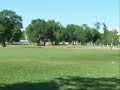 Mojo Going Long for Frisbee