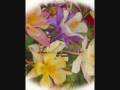 videos de seminte plante.wmv