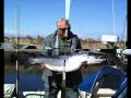 Baltic salmon.wmv