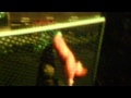 Wierd Destroy All Humans 2 glitch HD