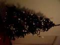 videos de Kahn's Adventures - Christmas!