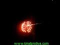 Baishakhi Mela Sydney 2008 FireWorks Baishakhi Mela Sydney 2008 FireWorks