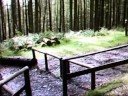 Brown Pants MTB - Machynlleth 2008 (Video 3)