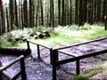 Brown Pants MTB - Machynlleth 2008 (Video 3)