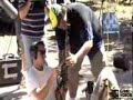 Sturmgewehr 44 Sturmgewehr 44