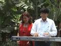videos de 