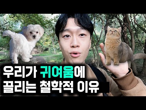 귀여움은 왜 이렇게 기분 좋고 중독적일까? 현대사회와 귀여움에 대한 분석