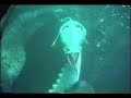 Submarine Voyage (Disneyland) Part 2 of 2