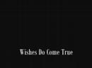Wishes Do Come True Wishes Do Come True