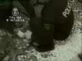 actuacion policial