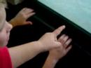 hong-kong-city-day-1.html
