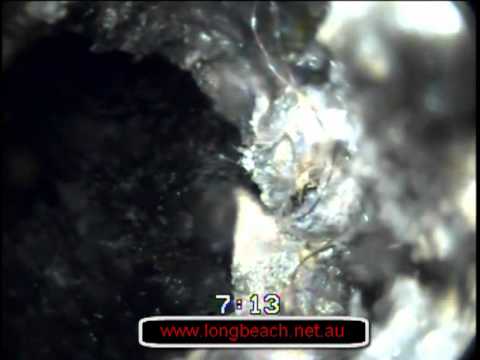 how to fit urinal waste