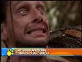 Cobra de duas cabeças