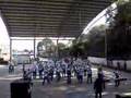 Halcones Cobaep 17, The kids Aren't