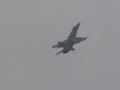 f-18 c demo in itali