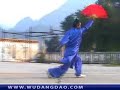 Tai Ji Heaven & Earth Fan