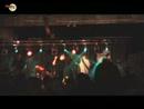 wietliki-na-literaturomanii-w-gdyni-13062008.html