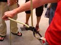 Zap o Mat von Edelrid