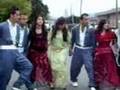 Port Coquitlam Day By Lawan (PDKI)