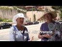 LCA and America Protest for the Puppies! LCA and America Protest for the Puppies!
