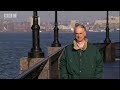 Artifical trees - BBC Science Artifical trees - BBC Science