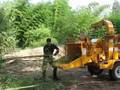 THE BEST BAMBOO CHIPPER