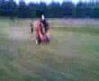 JOHN BLOOM 4wheelin