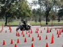 Motor Training