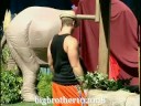 bb 10 gorilla and other clues   hawaii vacation?
