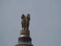 videos de Day 08 - Vidhana Soudha