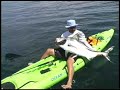 Kayak Fishing Roosterfish