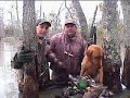 arkansas duck hunting bonanza