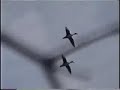 arkansas duck hunting bonanza