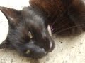 DSCF1190[1]