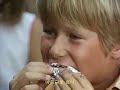 pippi longstocking1 3